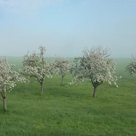 Domaine De L'etre Bed and Breakfast