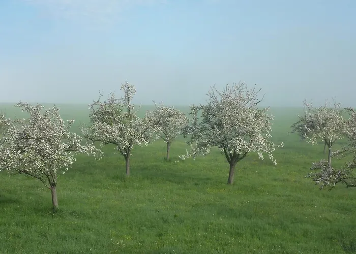 Domaine De L'etre Couette-café